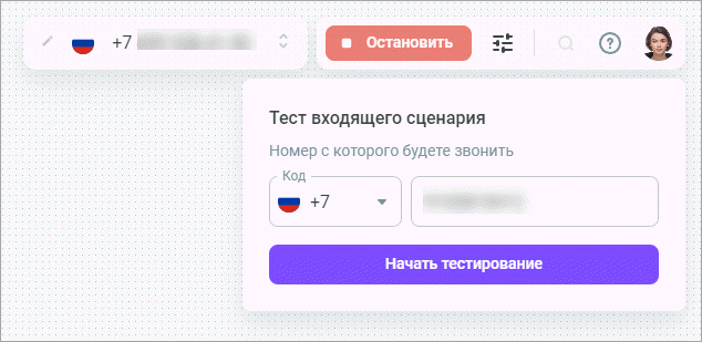 Тестовый номер